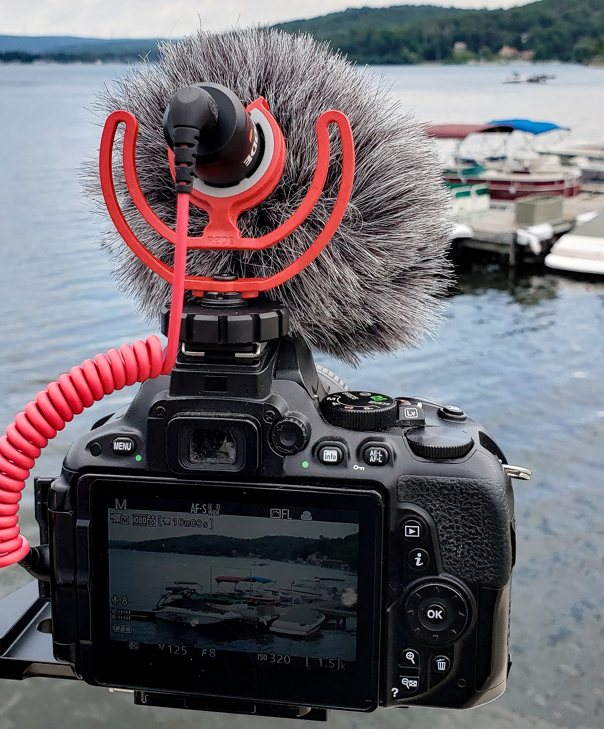 One Too Many Wedding Surprises